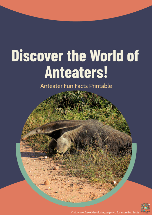 Anteater fun facts printable