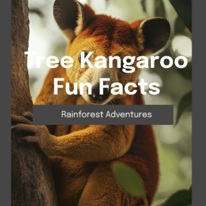 Tree Kangaroo Fun Facts Printable