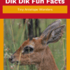 Dik Dik Fun Facts Printable