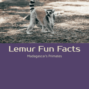 Lemur Fun Facts Printable