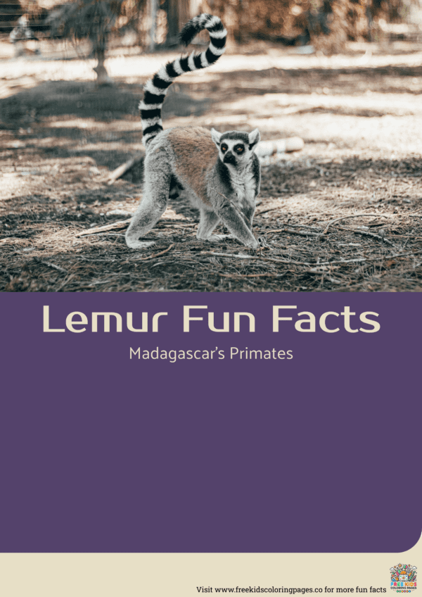 Lemur fun facts printable