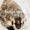 Badger Fun Facts Printable