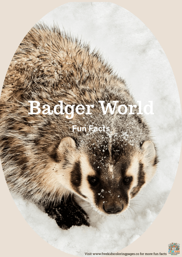 Badger fun facts printable